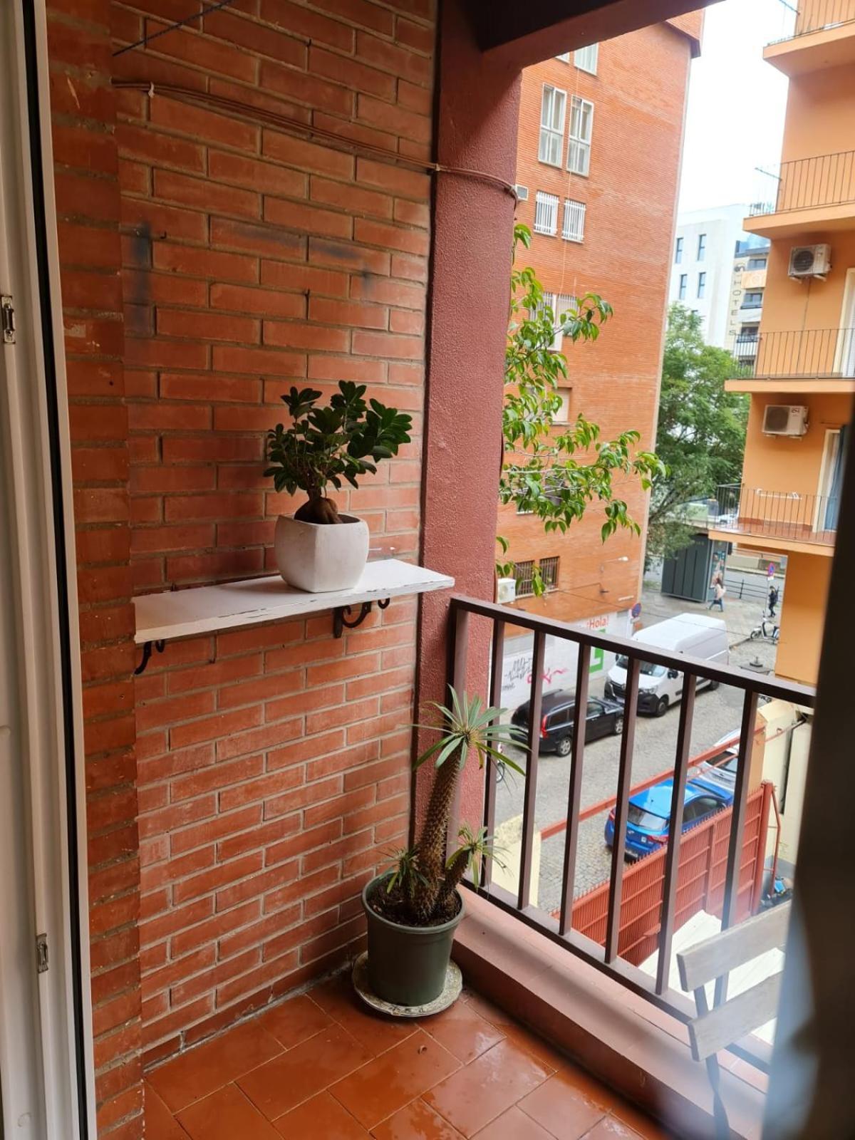 Plaza De Armas By Rami Apartment Seville Ngoại thất bức ảnh